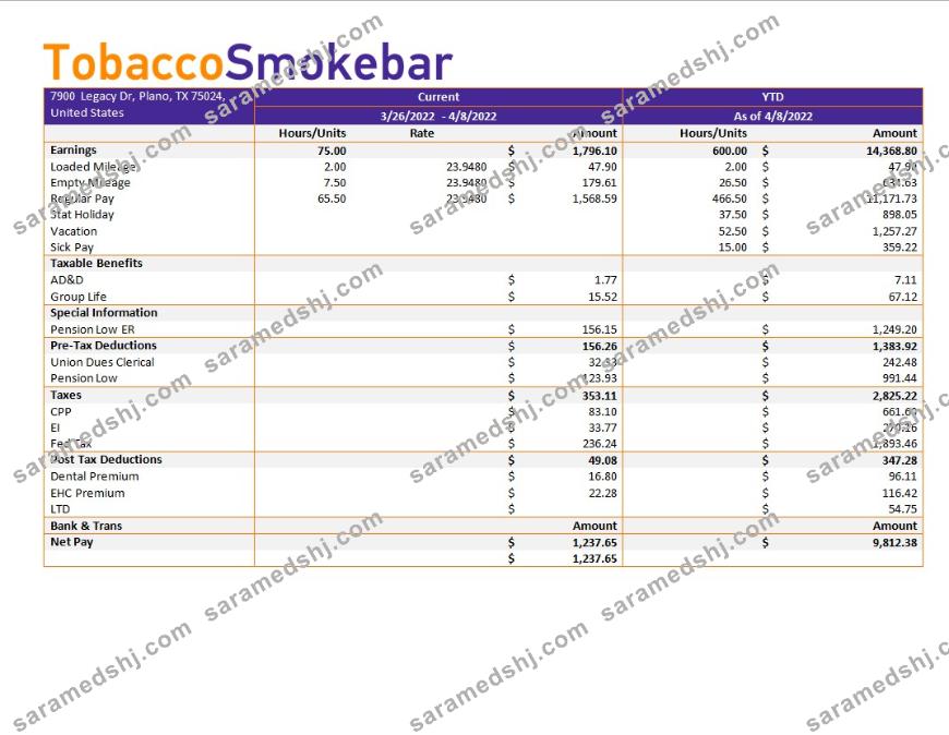 tobacco company earning statement template in Word and PDF formats